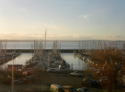 [This dock is full of sailboats with their sails down. There appears to be a quay between the dock and the open water.]